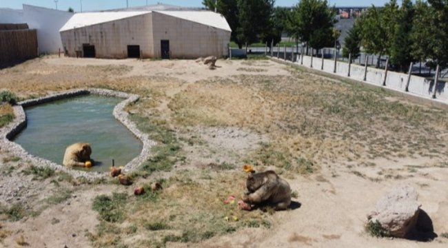 Anadolu Harikalar Diyarı'nda serinleten uygulama