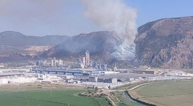 Aydın'da orman yangını!