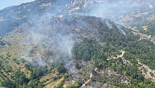 Balıkesir'de orman yangını! 