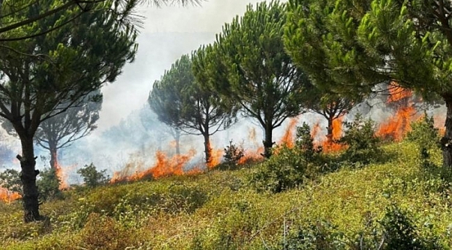 Başkan Özkan vatandaşları dikkatli olmaya çağırdı
