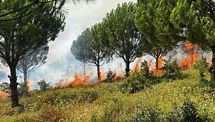 Başkan Özkan vatandaşları dikkatli olmaya çağırdı