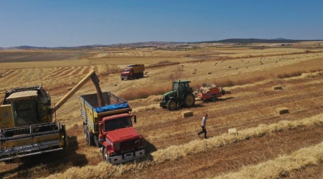 Belediyenin buğdayları un olarak dağıtılacak