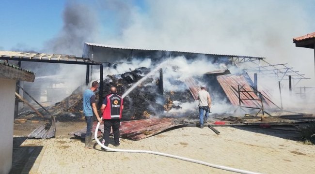 Bilecik’te at çiftliğinde büyük yangın