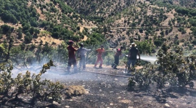 Bingöl'deki orman yangını kısa sürede söndürüldü