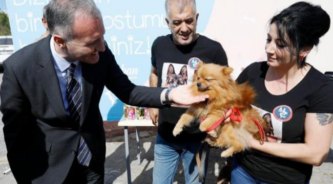 Bursa İnegöl 6 ayda 3 bine yakın hayvana şifa oldu
