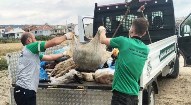Bursa İnegöl'de 300 ton kurban atığı toplandı