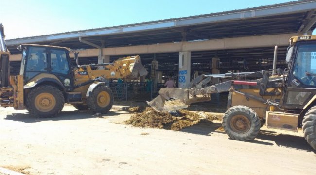 Bursa Osmangazi'de kurban satış yerleri kaldırıldı