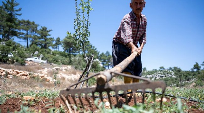 Büyükşehir desteğiyle çiftçinin yüzü gülüyor
