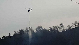 Çanakkale'deki yangın kontrol altına alındı! 