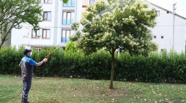 Çayırova'da mesire alanları ve parklar ilaçlanıyor