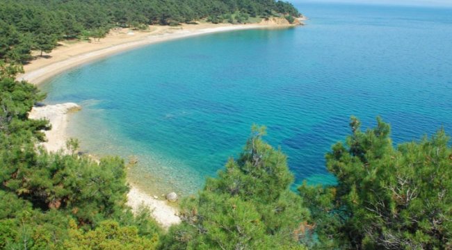 CHP'li Ün'den TBMM'ye Saros önergesi