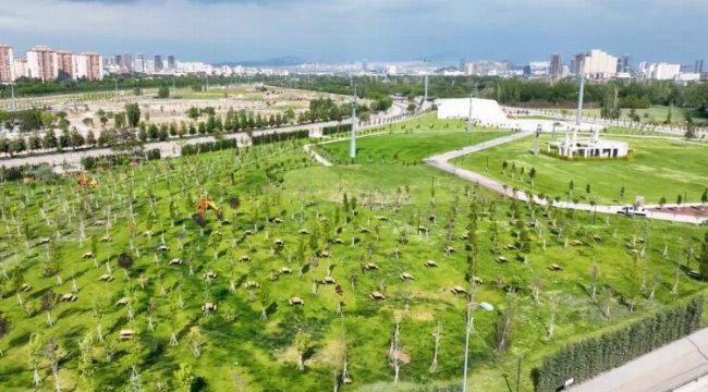 Dev park gün sayıyor
