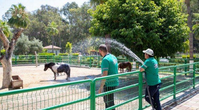 Doğa Parkı’nın sakinleri yağmurlama ile serinliyor