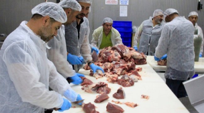 Hayat Ağacı Derneği vekaletle bu yıl da kesti