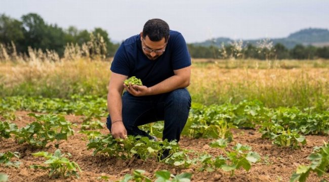 İklim krizinde susuz tarım umut oluyor