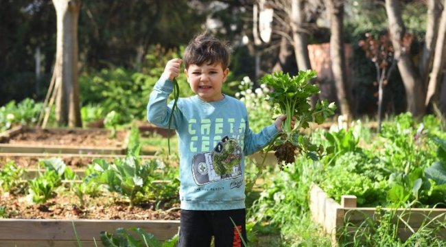 Kadıköy bostanlarında hasat zamanı