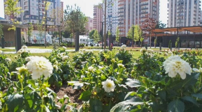 Kayseri Talas'ta rengarenk meydan