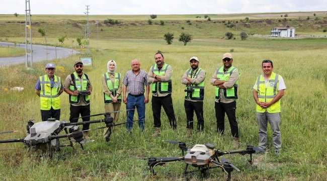 Kayseri Talas'ta tarım alanlarına İHA'yla ilaçlama