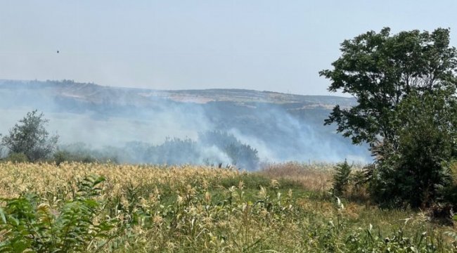Keşan Yeşilköy’deki yangın korkuttu
