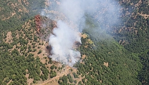 Manisa'da orman yangını çıktı