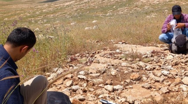Mardin’de Pleistosen ve Erken Holosen için yaşam bulgusu