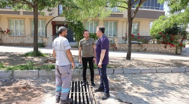 Mehmet Savran'dan saha turu