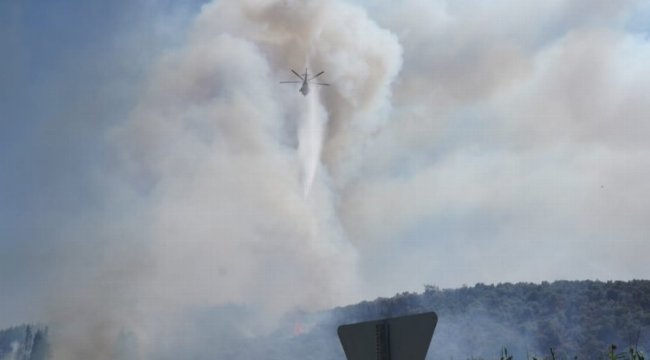 Milas'ta yangın! 2 mahalleyi tehdit ediyor