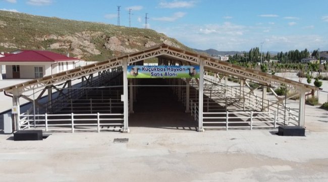 Sivas hayvancılığına büyük devir