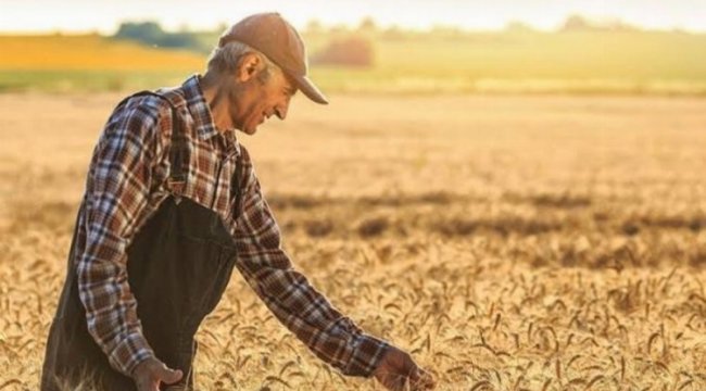 Tarım-GFE yıllık yüzde 33,22 arttı