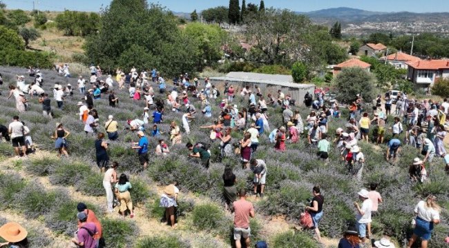 Üreticilere lavanta işleme tesisi müjdesi