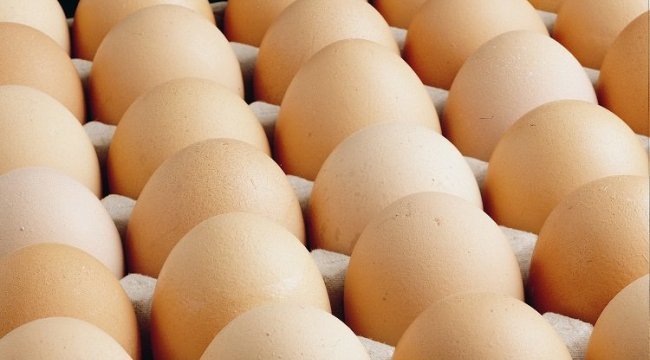 Yumurtacılardan 'yasak' isyanı