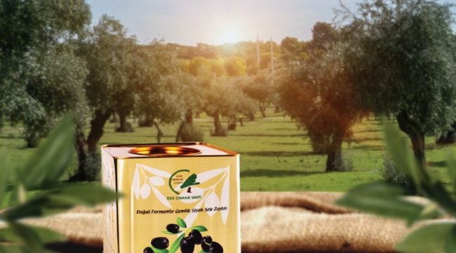 Zeytin satışları Kahta'da ormana dönüşecek