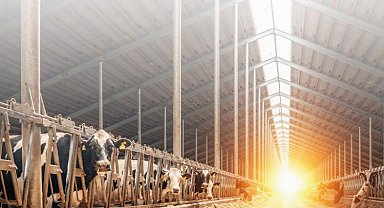 20 milyon Euro hibe desteği!