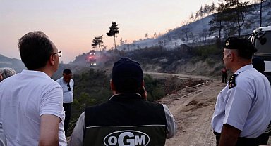 Bilecik Osmaneli'de orman yangını kontrol altında