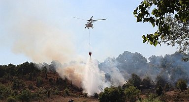 Bilecik'te orman yangını