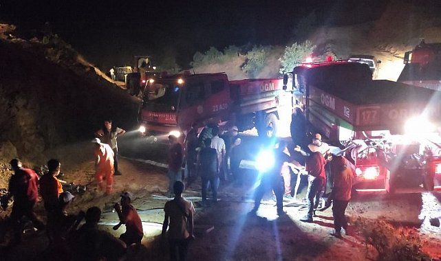 Bingöl'deki orman yangınında soğutma sürüyor