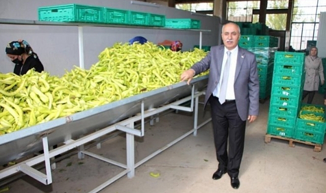 Bursa'da pazarda fiyatı çiftçi belirleyecek