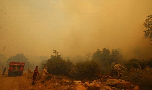 Çanakkale'de büyük yangın! Tahliyeler sürüyor!