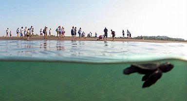 'Caretta Caretta'lar Akdeniz'le buluşturuluyor