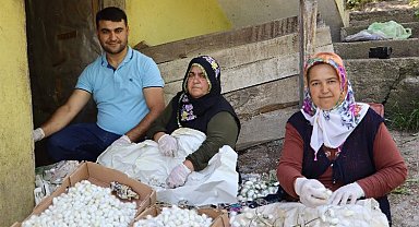 Evlerde üretilen 1 kilo kozadan 400 lira kazanıyorlar