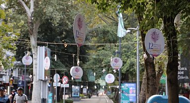 İzmit'te ağaçlar pişmaniye açtı