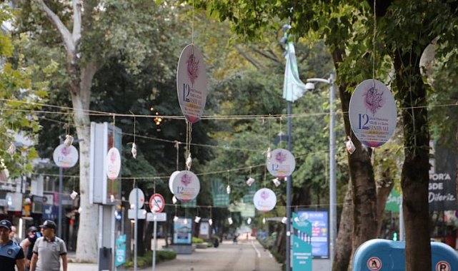 İzmit'te ağaçlar pişmaniye açtı