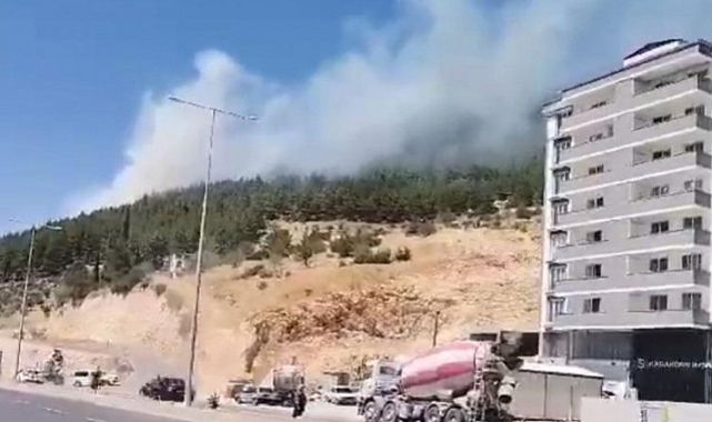 Kahramanmaraş'ta çıkan orman yangını kontrol altında