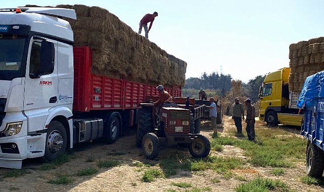 Kocaeli'den, Çanakkale'deki yangın mağduru çiftçilere destek