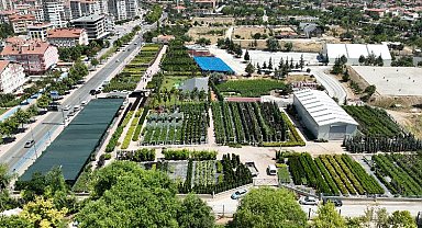 Konya Ağaç AŞ'ye Başkan Altay'dan ziyaret