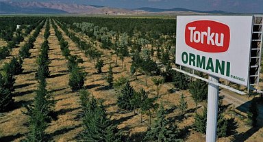 Konya Şeker'den 'ağaç' açıklaması