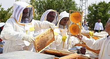 Konya Selçuklu'da ilk hasat yapıldı... 1 ton bal bekleniyor