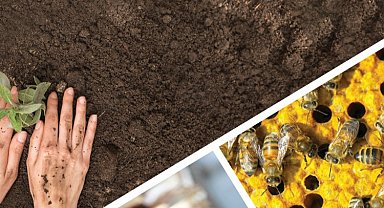 KOOP-DES başvuruları uzatıldı