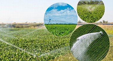 Pancarda 730 milyon TL'lik sulama avans ödemeleri yapılıyor