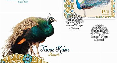 PTT'den 'tavus kuşu'